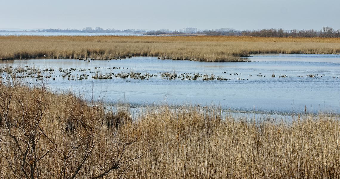 crossbill-guides-camargue-landscape-02-dirk-hilbers-etang-vacceres