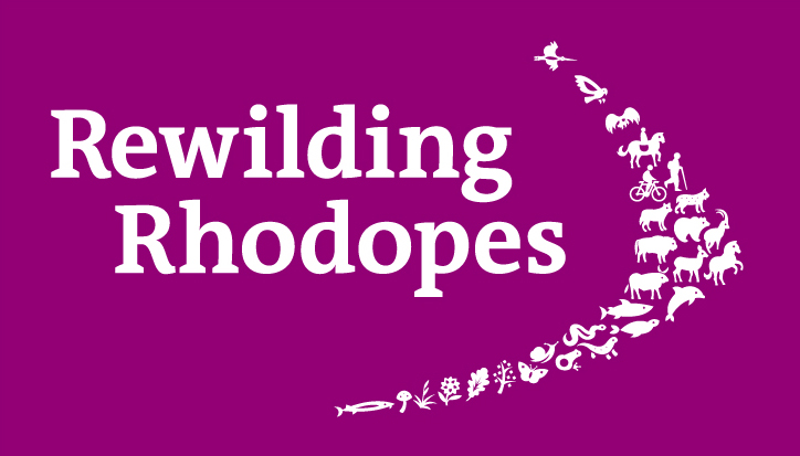 crossbill-guides-eastern-rhodopes-rewilding-rhodopes