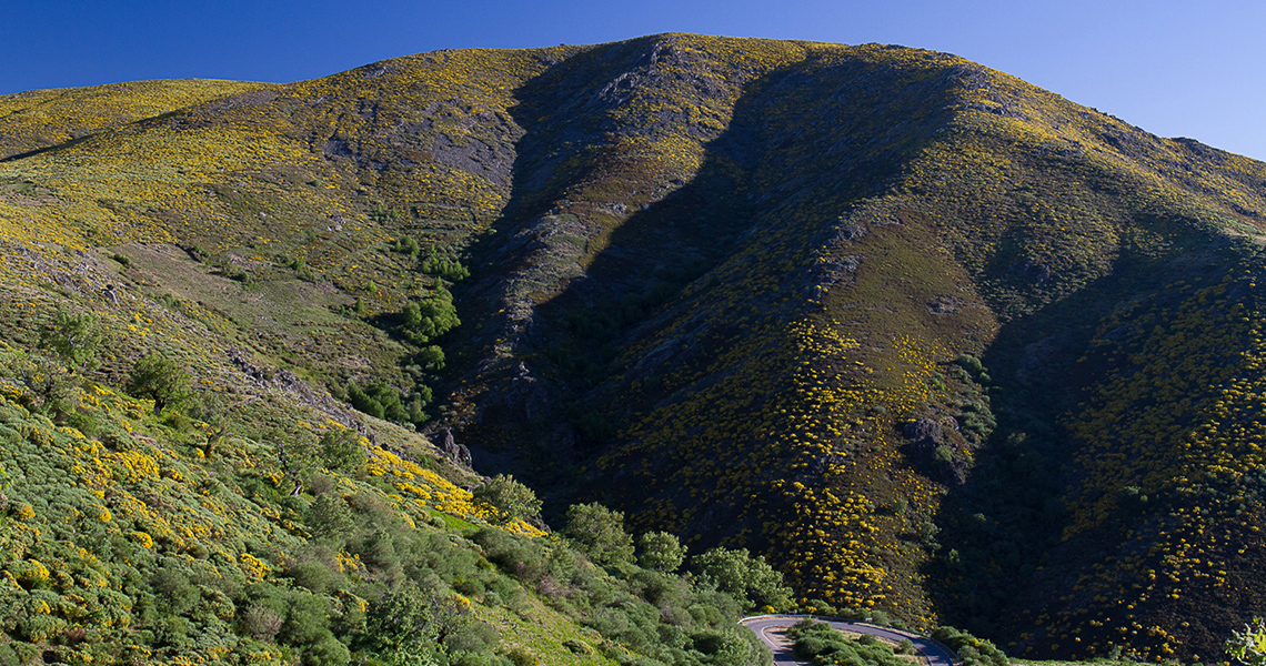 crossbill-guides-extremadura-landscape-dirk-hilbers-03