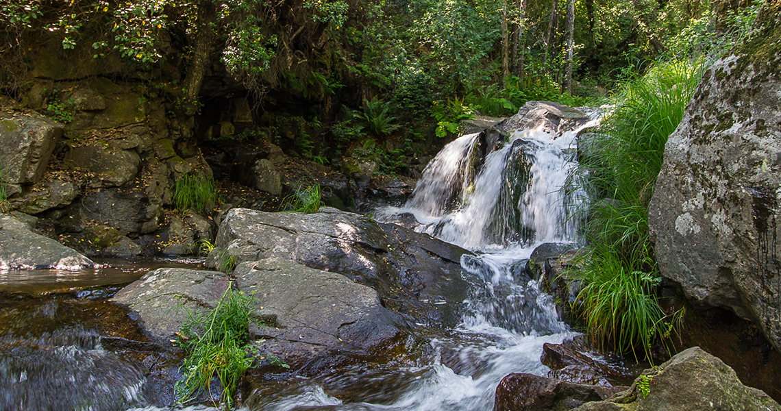 crossbill-guides-extremadura-landscape-dirk-hilbers-04