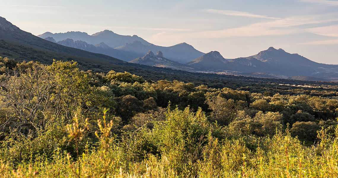 crossbill-guides-extremadura-landscape-dirk-hilbers-12