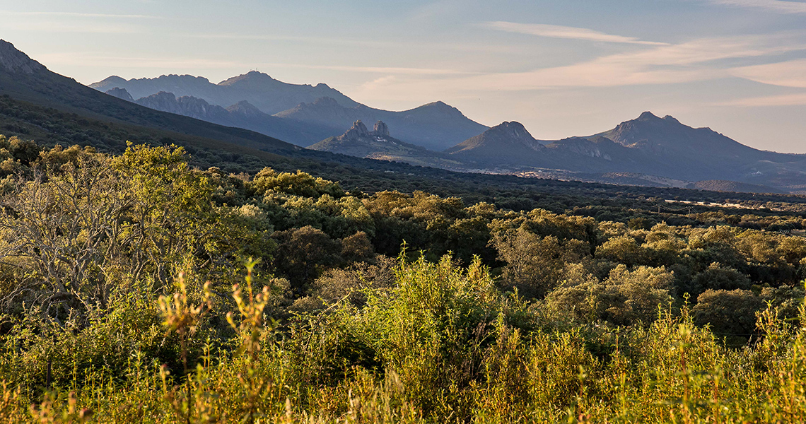 crossbill-guides-extremadura-landscape-dirk-hilbers-13