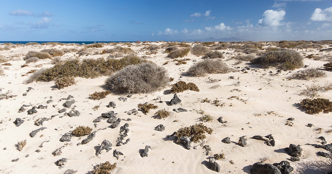 crossbillguides-fuerteventura-canary-islands-spain-landscape-05-dirk-hilbers